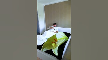 Your dream bed #shorts Funny effects video by Tiktoriki