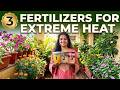 Sirf Yeh 3 Paani Dalo & Save Your Plants! 🪴🚫🔥 | 3 FREE Liquid Fertilizers