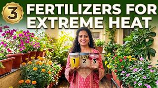 Sirf Yeh 3 Paani Dalo & Save Your Plants! 🪴🚫🔥 | 3 FREE Liquid Fertilizers