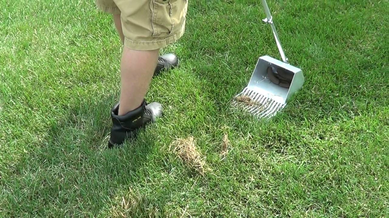Pooper Scooper YouTube