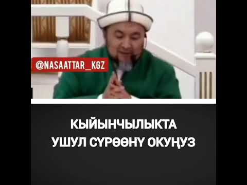 Video: Авокадо дарагын кантип кыркуу керек (сүрөттөр менен)