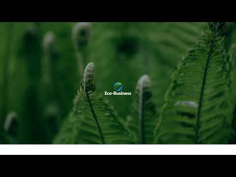 Eco-Business Live Stream
