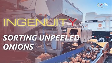 Ingenuity: Optical Sorting Machine for Unpeeled Onions | RAYTEC VISION SpA