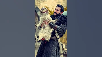 Sultan Salahuddin Ayyubi Sultansalahuddinayyubi Shorts Turkishdrama Turkishseries Turkeydrama 