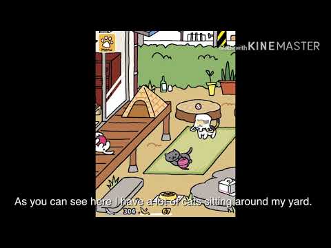 How You Can Get Fast Fish | Neko Atsume
