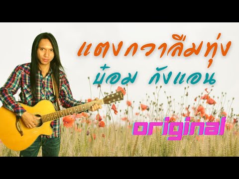 คอร์ดเพลง แตงกวาลืมทุ่ง บ๋อม กังแอน