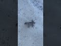 НАУЧЕННАЯ ОПЫТОМ :)