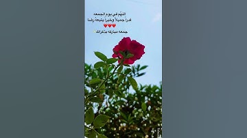#سورة_الكهف #سورة_البقرة #جمعة_مباركة #اللهم_صل_وسلم_على_نبينا_محمد