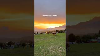 No fancy dates, just u me n sunset #travel #sunset #mountains #himachal #pahad #shortsviral #shorts