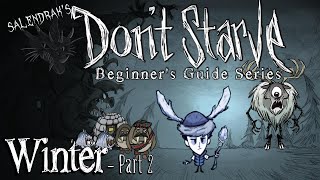 Winter Guide Part 2 - Gameplay (Don't Starve RoG Beginner's Guide Series)