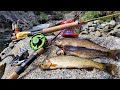 Catch, Cook and Camp!! SOLO Hunt for Trout in High Sierra!