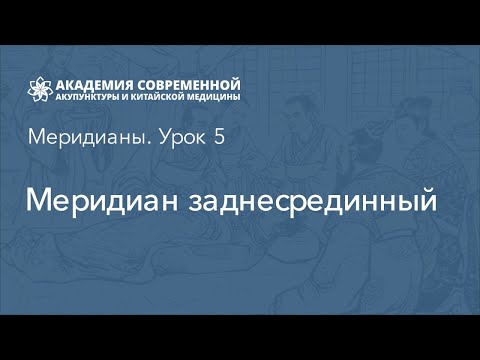 Меридиан заднесрединный. Иглоукалывание, курсы обучения. Онлайн академия акупунктуры Акумед.