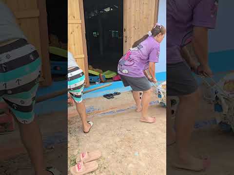 พอดีเลย🤣 #ความบันเทิง #คลิปตลกฮาๆ #hahaha #funny #ขำๆคลายเครียด #ผัวเมียสายฮา #สะออนศิลป์