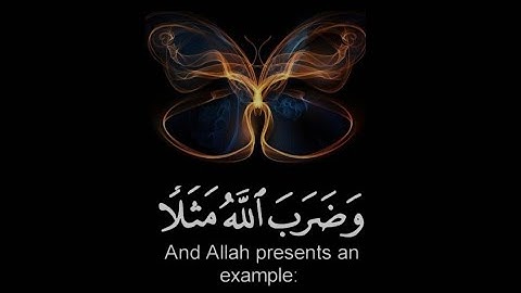قران كريم | سورة النحل | القارئ شريف مصطفى | تلاوة خاشعة😌❤️ | حالات واتس اب قران
