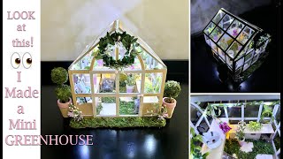 I Made a Mini GREENHOUSE!