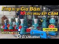 Máy Ép Cám Viên Cá Nhân,Báo Gía Mới Nhất Tháng 2 Năm 2025