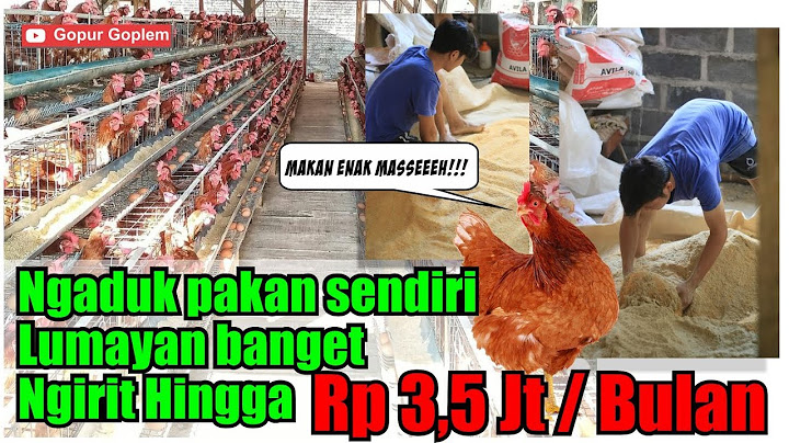 Satwa harapan yang dapat digunakan untuk bahan pakan alternatif bagi ternak unggas dan ikan adalah *