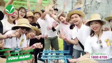 Du lịch team building - Chinh phục thử thách, chạm đến thành công - Đất Việt Tour