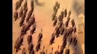 The Lion King 3D = The Stampede Scene