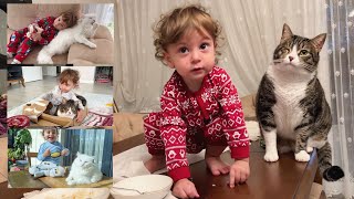 The amazing love between a baby and cats. Can cats fall in love with a baby? by Adorable Paws 512,980 views 1 month ago 7 minutes, 3 seconds