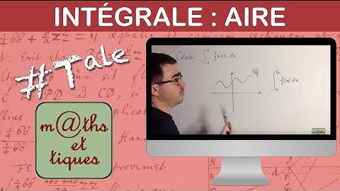 Determine an integral by area calculations (1) - Terminale