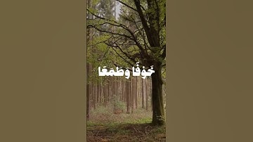 قرآن كريم بصوت جميل يريح القلب ماشاءالله تبارك الله #اكسبلور #المصحف #قران_كريم #لايك #الرحمن #ترند