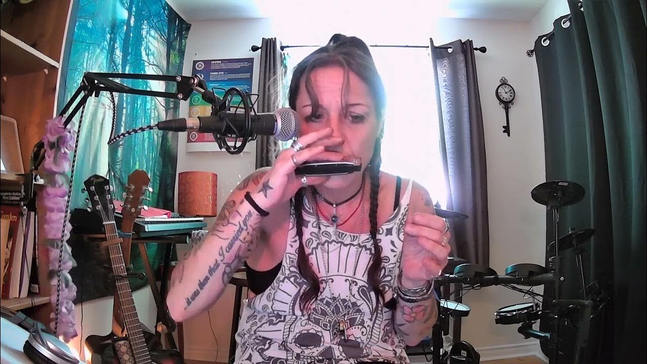 Dotty The Harmonica Day One VID 2 YouTube