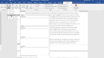 Word 2016 page number alternate pages