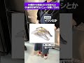 【くら寿司】CM撮影現場で好きなネタ聞いてみた