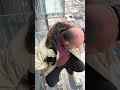THE LEDGE