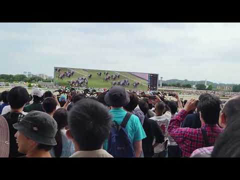2023/5/28 第90回日本ダービー（G1）東京競馬場