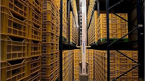 Two automated storage facilities improve tomato logistics & warehousing | Mecalux UK