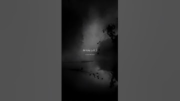 قل إن تخفوا ما في صدوركم أو تبدوه يعلمه الله ~ ماهر المعيقلي سورة آل عمران #quran #قرآن #الله