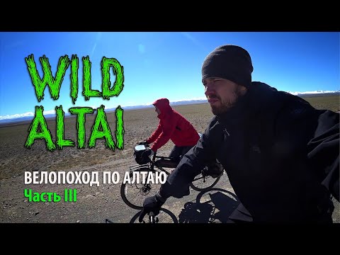 WILD ALTAI Велопутешествие
