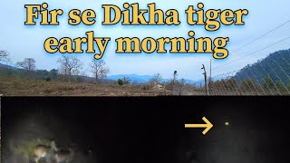 Fir se Dikha Tiger Early Morning