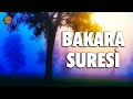 Bakara suresi  evdeki geimsizlie huzursuzlua skntlarnza ifa  eyad mohra