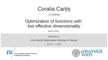 Coralia Carțiș - Optimization of functions with low effective dimensionality