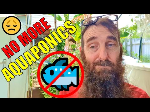 no-more-aquaponics........-😥