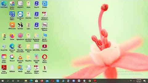 Class 7th Ch-4 (Introduction to HTML) Part-4