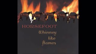 A horse whinnies songwriter (Tanglefoot) ai cover HORSEFOOT