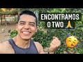 Encontramos nosso Agaporne Two | Aves Recriar