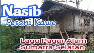 Nasib petani kawe | lagu pagar alam cover video by hendicc