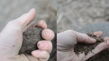 Solving Soil Variability with Sensors and Field Scanning
