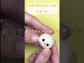 ちまちま羊毛フェルト　小技【１】#レッスン　#羊毛フェルト　#初心者