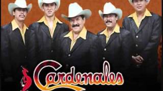 Belleza de Cantina-Los Cardenales de Nuevo Leon chords