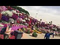 Miracle garden Dubai