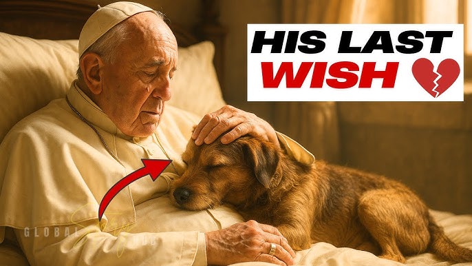 Pope Francis' Heartbreaking Final Goodbye to His Dog Left the World in  Tears - YouTube