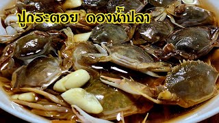 ปูกระตอยดองน้ำปลา บอกสูตรอร่อยลงตัว ปูกระตอยมีไข่ด้วย เอาไปดองเอาไปใส่ส้มตำแซ่บเว่อ