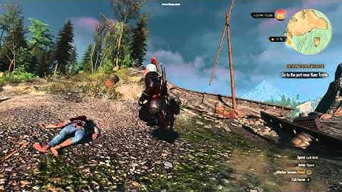 The Witcher 3 - Geralt Kneeling Glitch