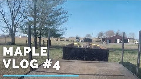 Salvaging Maple Log Vlog #4 Video